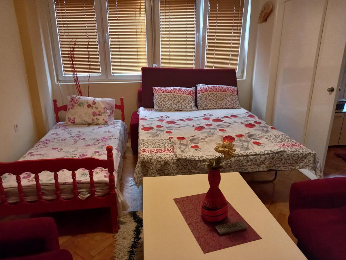 אוהריד Apartment Biljana מראה חיצוני תמונה