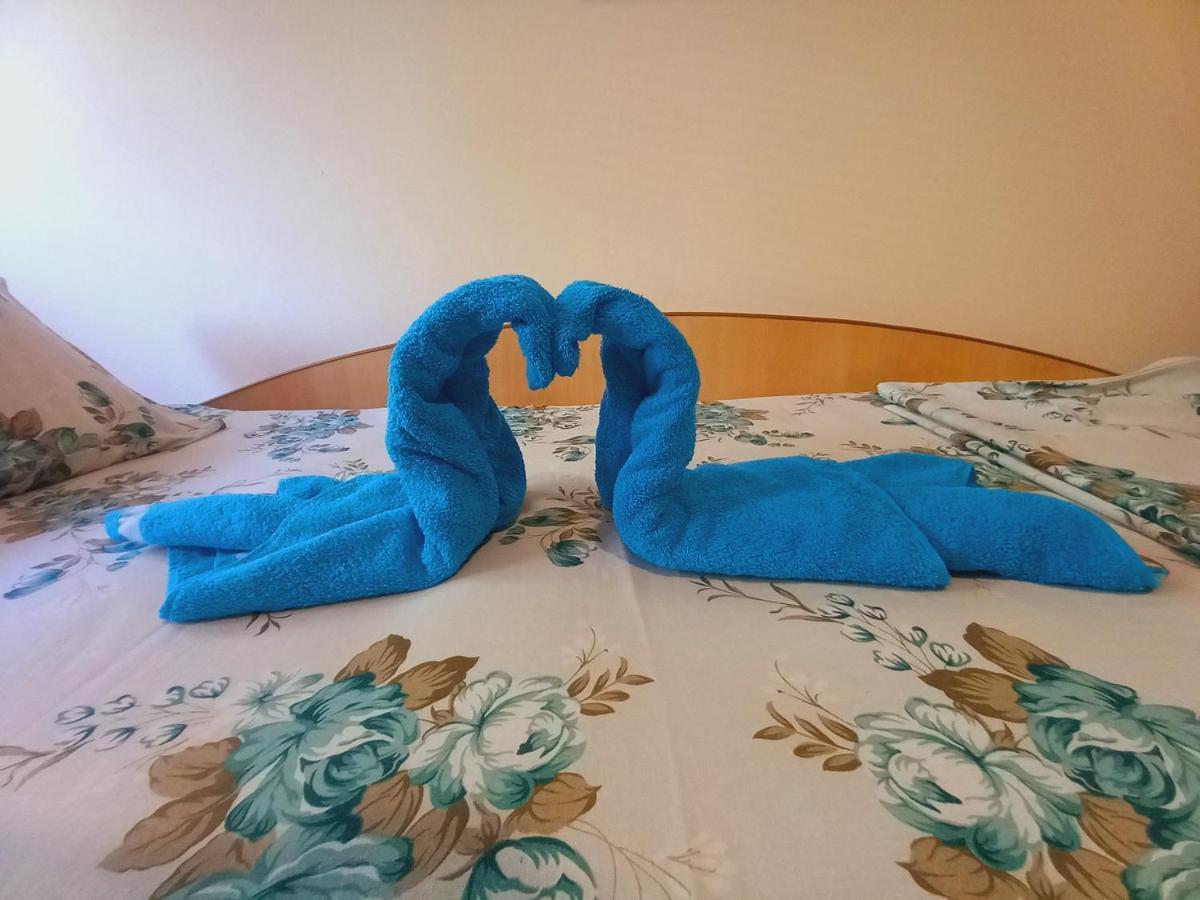 אוהריד Apartment Biljana מראה חיצוני תמונה